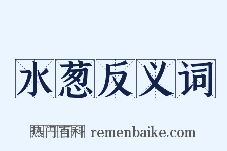 水葱反义词是什么意思的图片